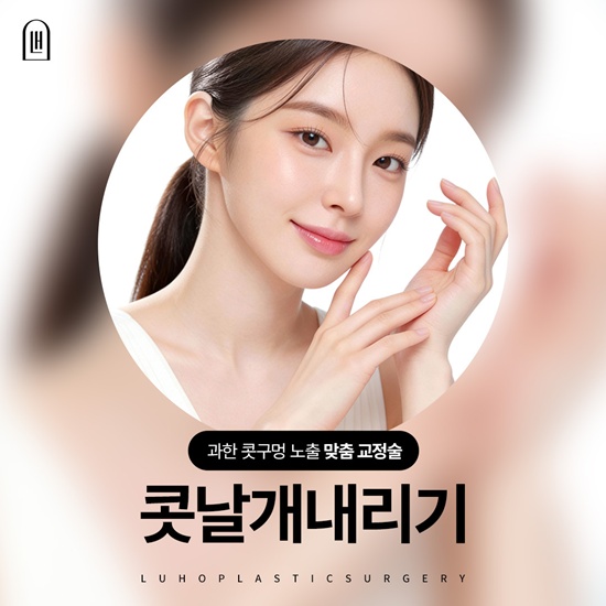 콧날개내리기.jpg